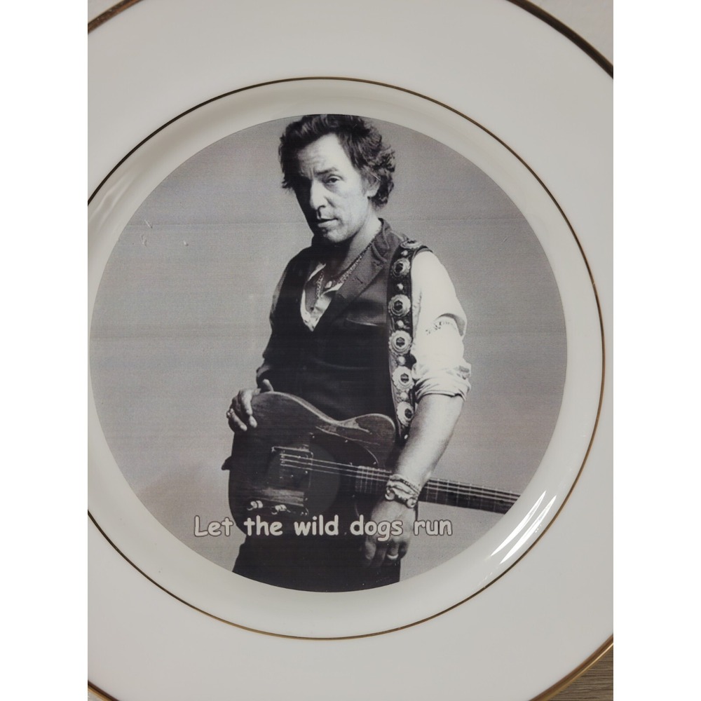 Bruce Springsteen Let the Wild Dogs Run Collector Plate - Picture 2 of 5